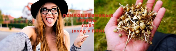 хмурый Вязьма
