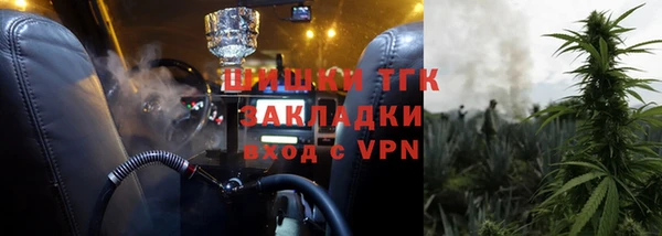 ECSTASY Вяземский