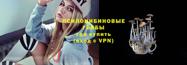 гашик Вязники