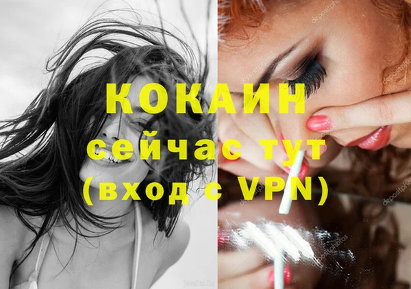 гашик Вязники