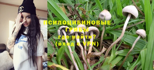 хмурый Вязьма