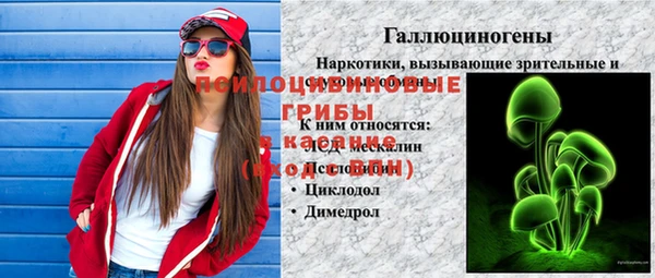 гашик Вязники