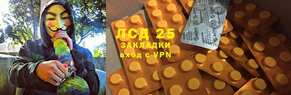 ECSTASY Вяземский