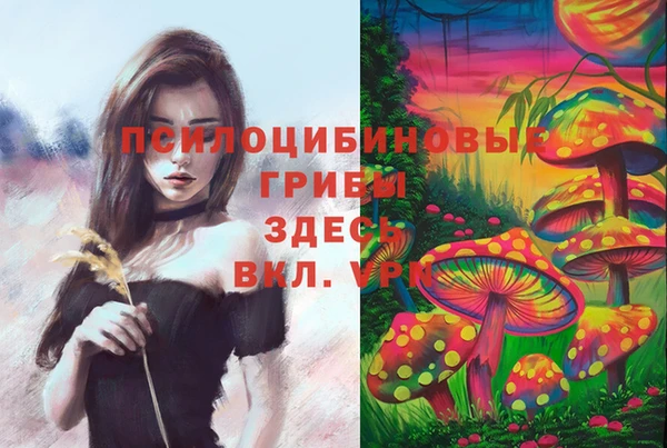 ECSTASY Вяземский