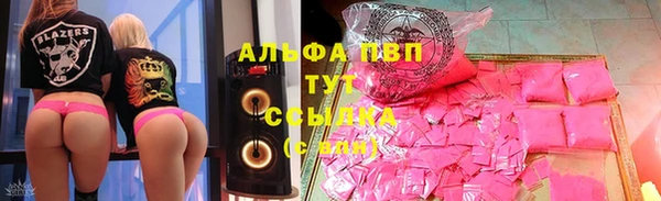 ECSTASY Вяземский